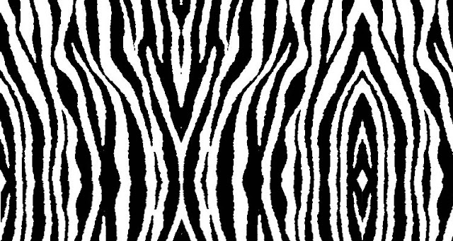 Background Zebra2