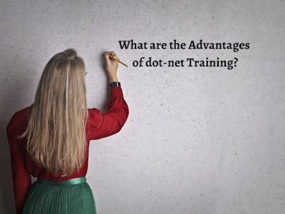What are the advantages of dot-net training?