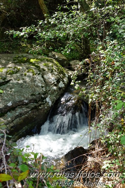 El Bujeo - Pista de la Algamasilla - Puerto de la Higuera - Río Guadalmesí