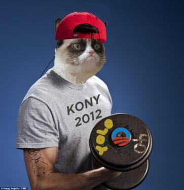 kony 2012