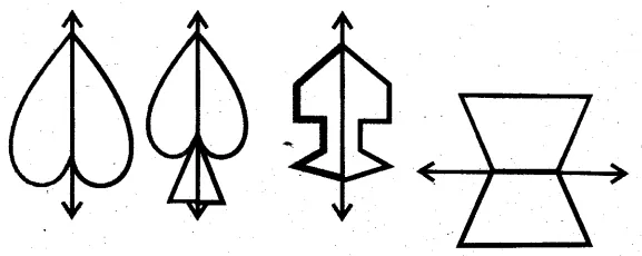 Solutions Class 6 गणित Chapter-15 (सममितता)