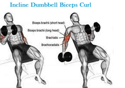 Exercises for Bigger Arms