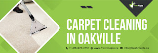Carpet_Cleaning_in_Oakville_4-03.jpg