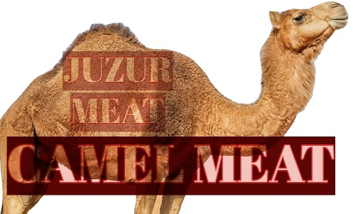 CAMEL MEAT OR JUZUR MEAT?