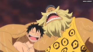 ワンピースアニメ パンクハザード編 581話 ルフィ ヒョウタウロス Hyoutauros | ONE PIECE Episode 581