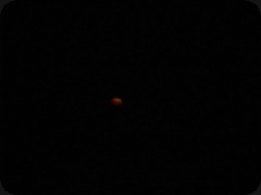 DSCN1181