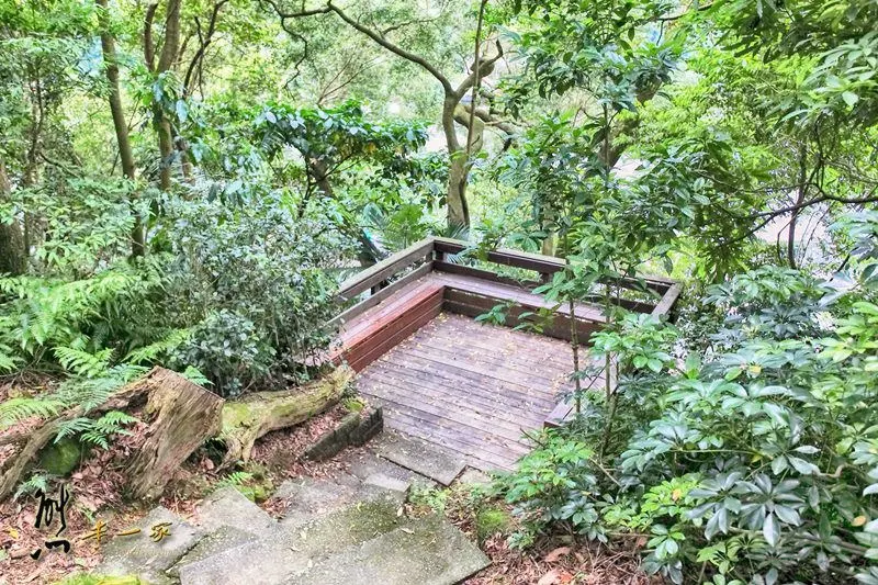 螢火蟲、油桐花、季高緯度熱帶雨林｜三峽 大板根森林溫泉渡假村