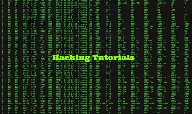 Best Free Hacking Tutorials and Resources to Become Pro Hacker