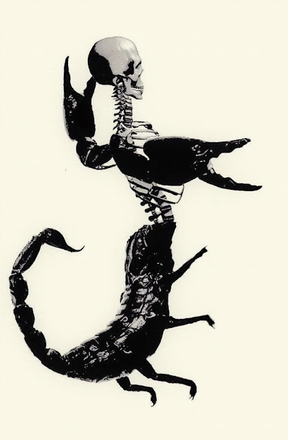 Humanoid Scorpion Skeletal System