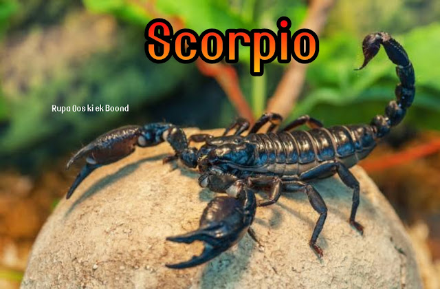 बिच्छू के बारे में 30 रोचक तथ्य || 30 Interesting facts about Scorpio ||