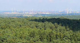 Ausblick Elbblickturm