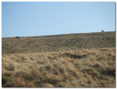 northumberland national park