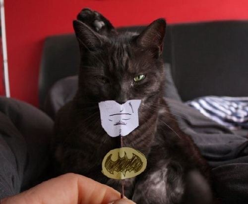 gato-batman