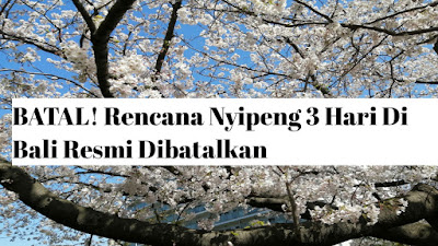 Rencana Nyipeng 3 Hari Di Bali Resmi Dibatalkan