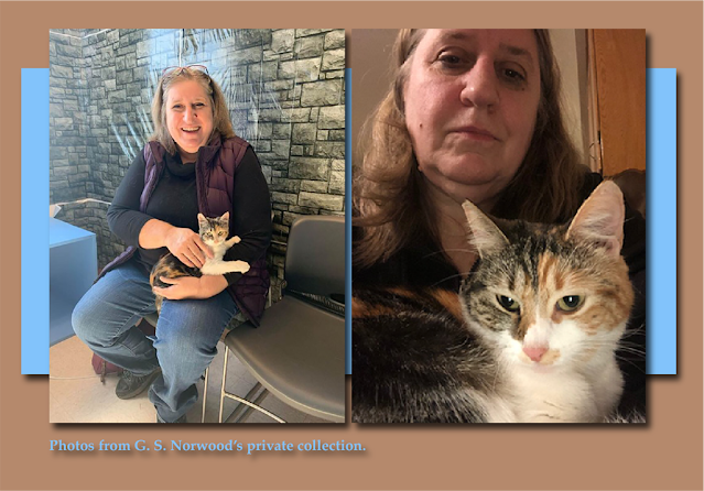 At left, G. with her new kitten in October 2019. At right, comfortable adult Gift in G’s lap.