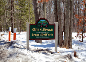 DelCarte Open Space sign on Pleasant St