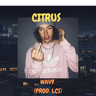 New Music: Citrus - Wavy