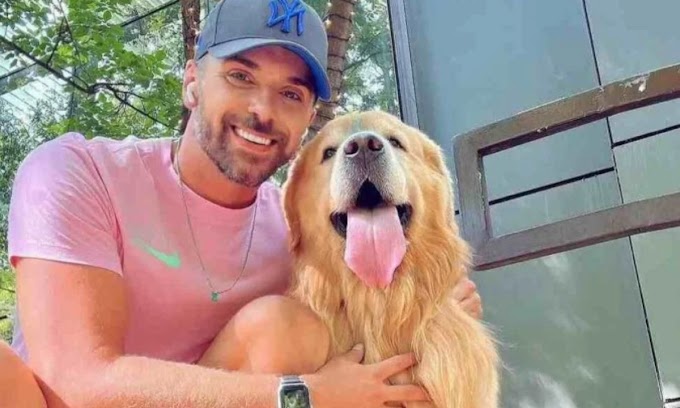 Governo anuncia nesta quarta novas regras para transporte de animais em aviões