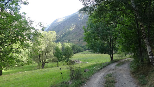 Camí de Sant Beado