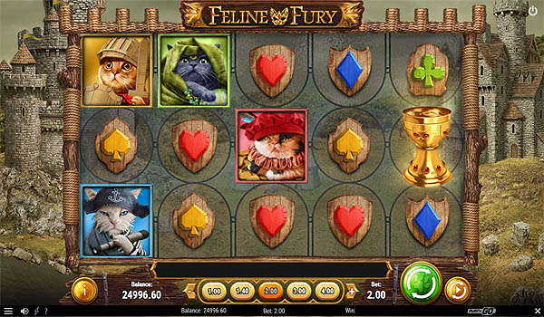 Main Gratis Slot Indonesia - Feline Fury (Play N GO)