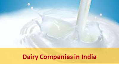 dairy companies in india