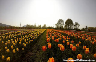 Srinagar province in India