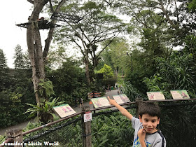 Singapore Zoo and Night Safari