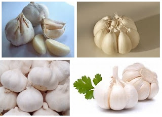 manfaat bawang putih untuk kesehatan
