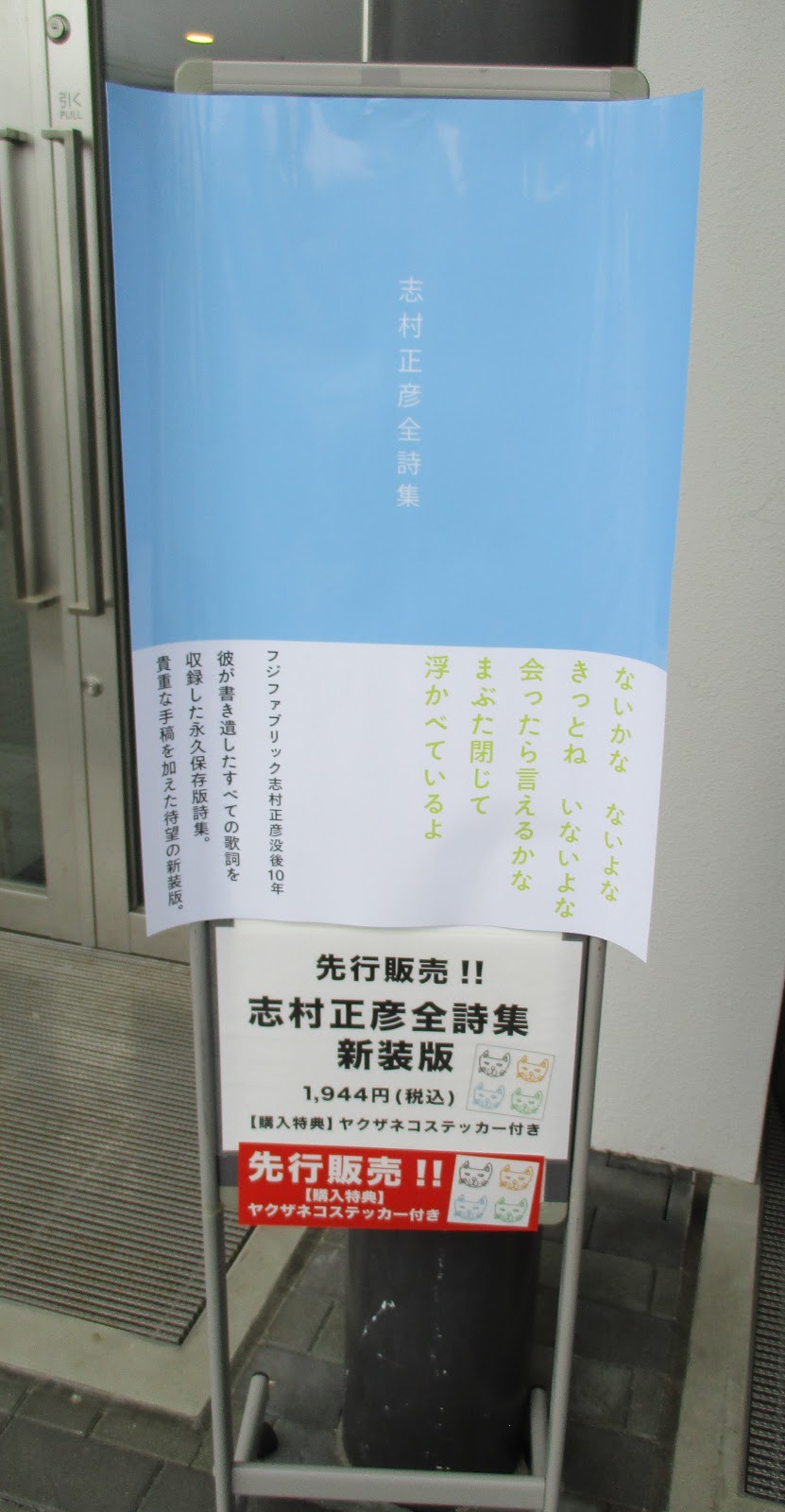 偶景web 19