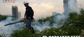 jasa fogging berkualitas