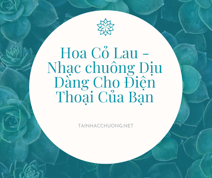 Hoa Cỏ Lau - Nhạc chuông Dịu Dàng Cho Điện Thoại Của Bạn