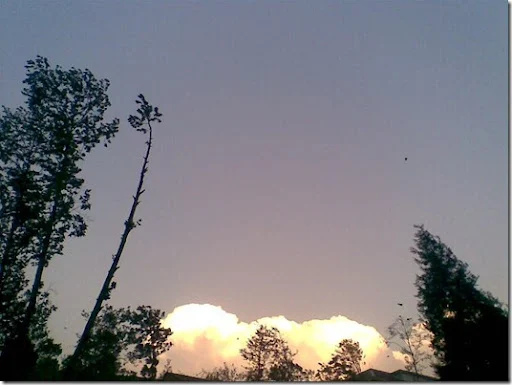 Image079