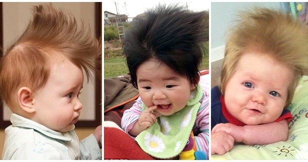 Bayi Bayi dan Tren Mohawk Mini Dalam Kompetisi Foto Rambut 