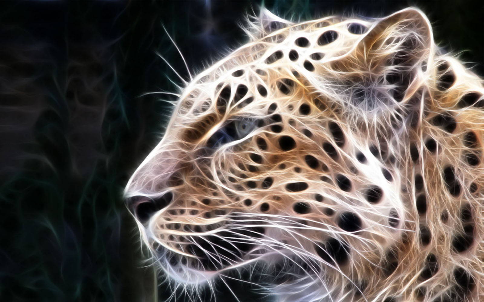 wallpapers: Leopard 3D Wallpapers