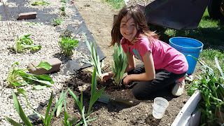 Evelyn's Garden - kossuthhistorybuff.blogspot.com