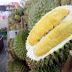 Musang King Berasal Dari Tanah Merah