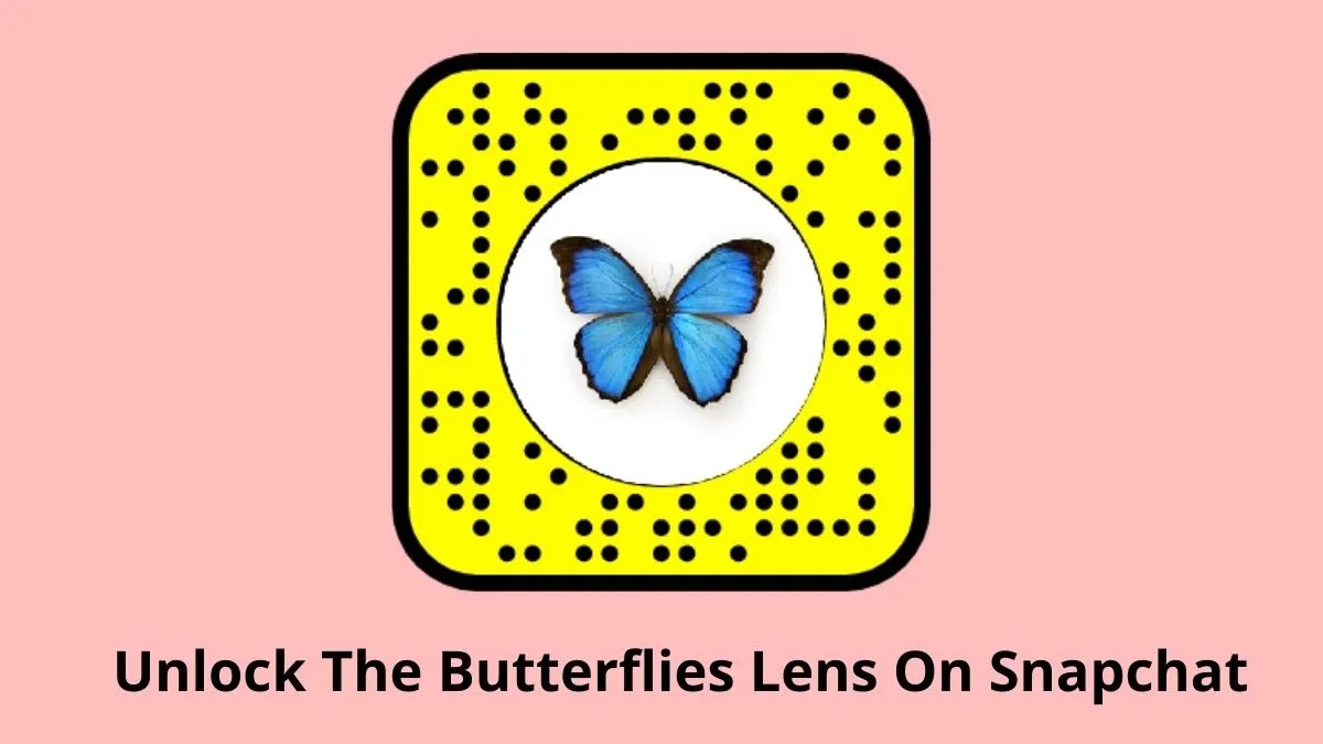 Snapchat Butterflies Lens