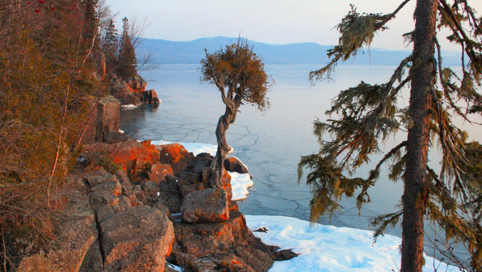 Αποτέλεσμα εικόνας για Cedar tree in the frozen lake foto