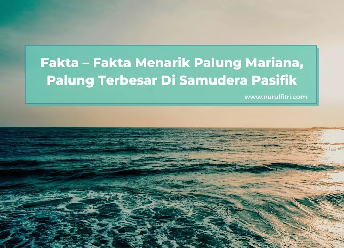 Fakta – Fakta Menarik Palung Mariana, Palung Terbesar Di Samudera Pasifik