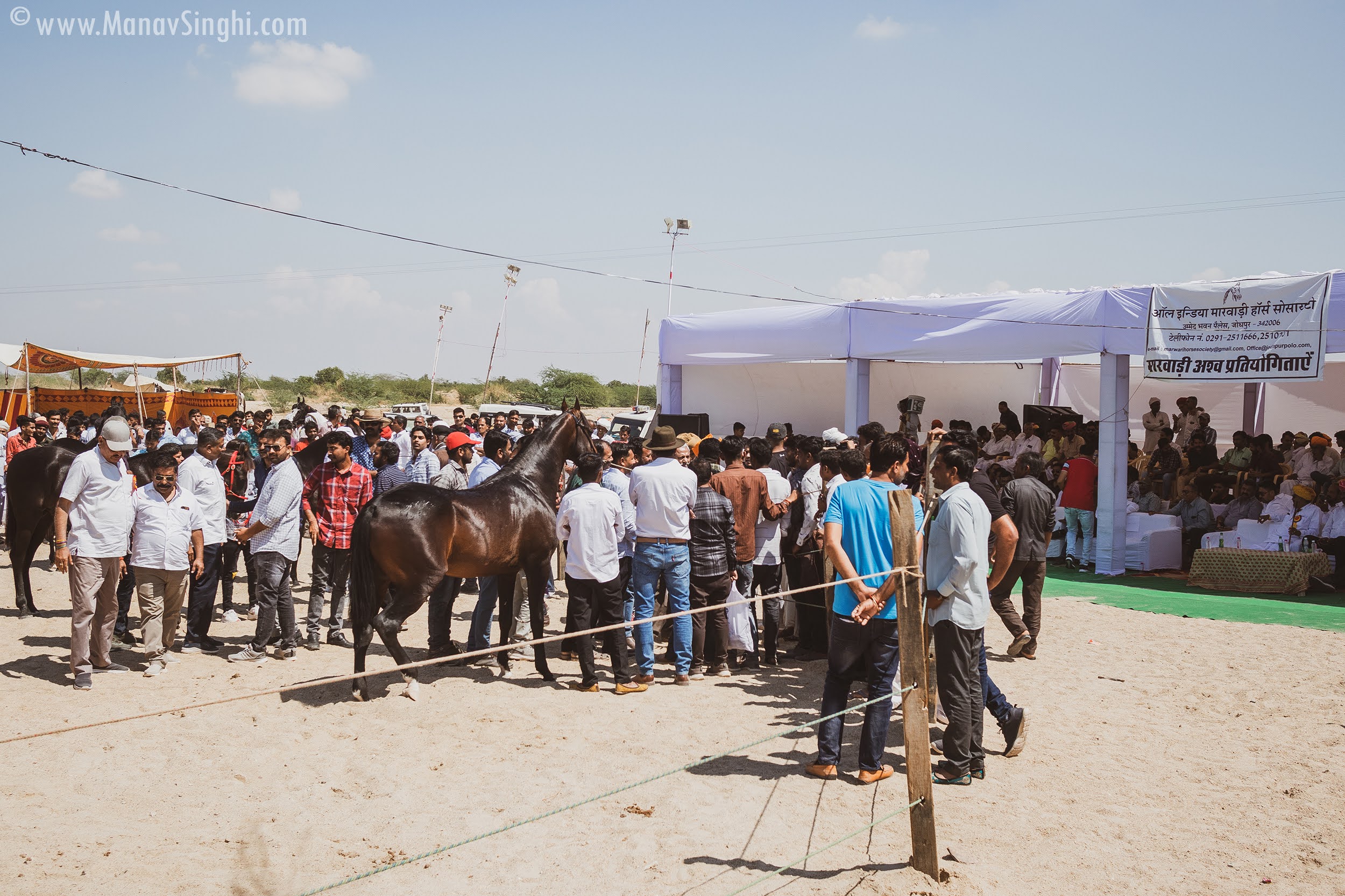 The Mallinath Cattle Fair, Tilwara 2023 - Biggest Cattle Fair in Rajasthan.