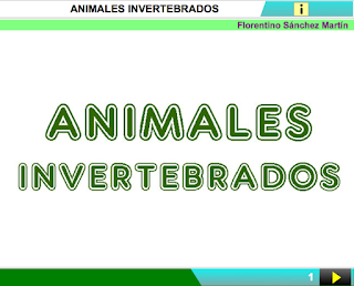 http://www.ceiploreto.es/sugerencias/cplosangeles.juntaextremadura.net/web/segundo_curso/naturales_2/invertebrados02/invertebrados02.html