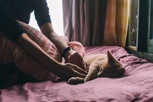 Kenapa Kucing Suka Mendengkur Saat Dekat Kita