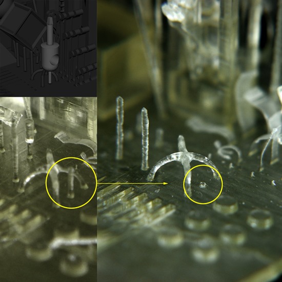 20130610_FirstPrint-TestW1