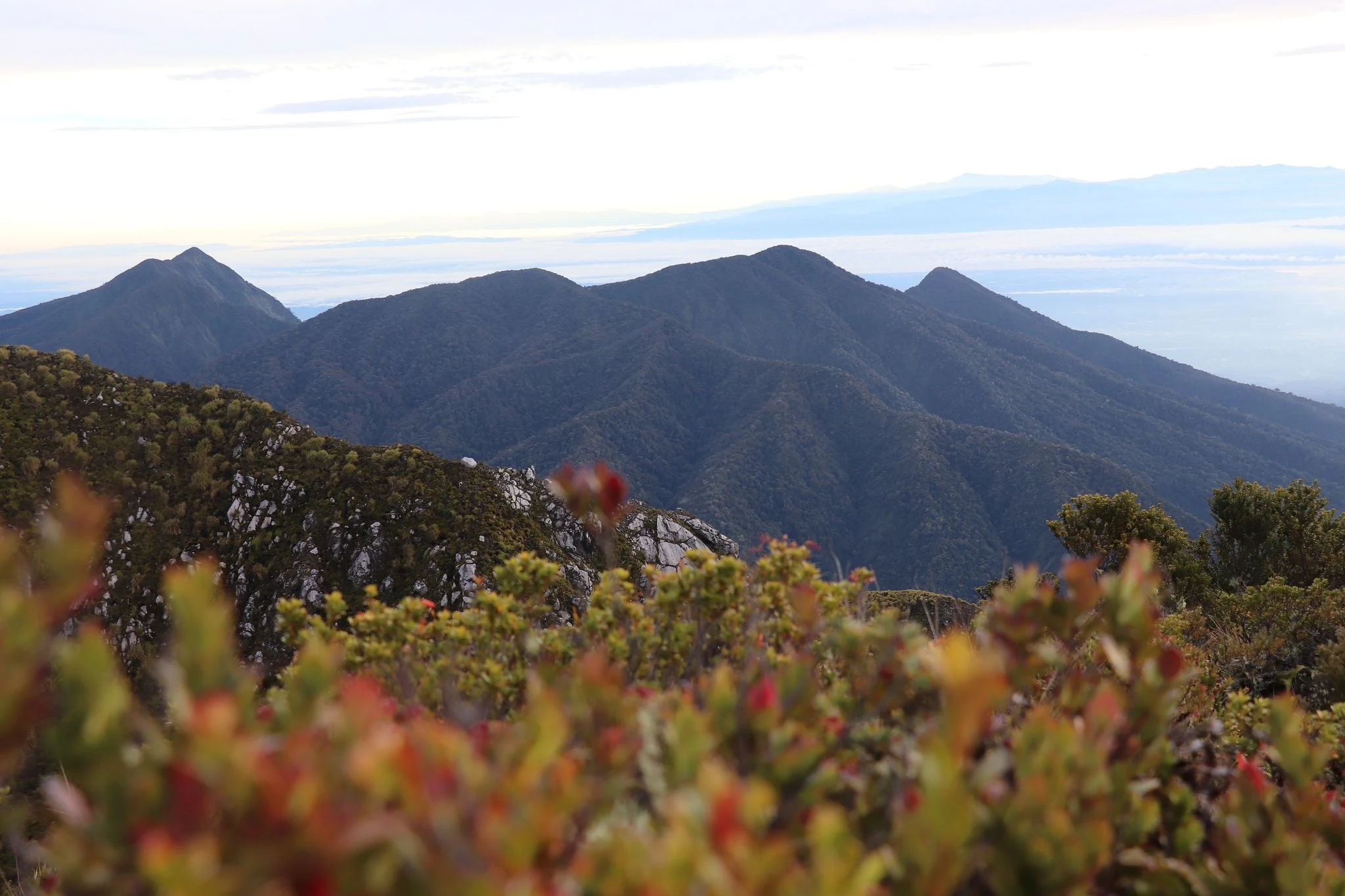 Climbing Mt. Apo Natural Park View at the Peak