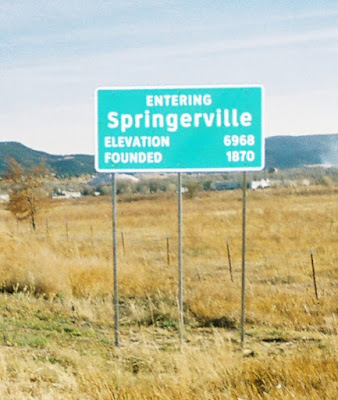 Entering Springerville Sign