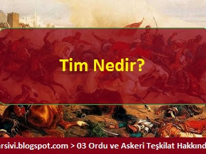 Tim Nedir? Komutanı Kimdir? Başında Kim Bulunur? Kaç Asker Bulunmaktadır?