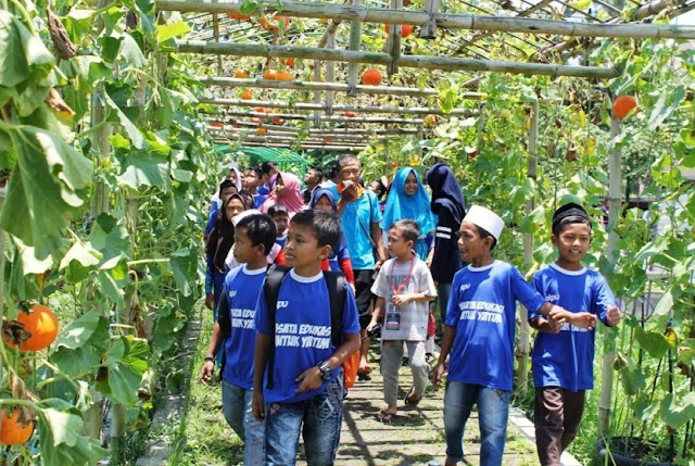 urban outbound agrowisata dan ekowisata