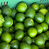Cae el precio del limón; se cotiza entre los 5 y 6 pesos