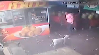 Hombre intenta patear a un perro, pero recibe una dosis de karma instantáneo