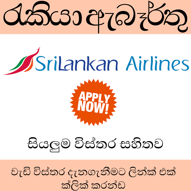 SriLankan Airlines Job 2024